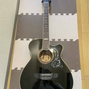 Strinberg SC-20Cの画像1