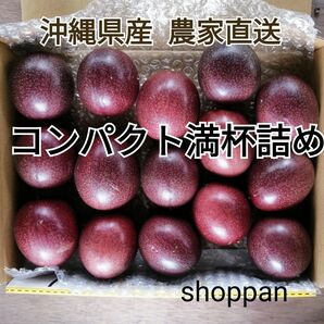 沖縄産 パッションフルーツ コンパクトbox満杯詰