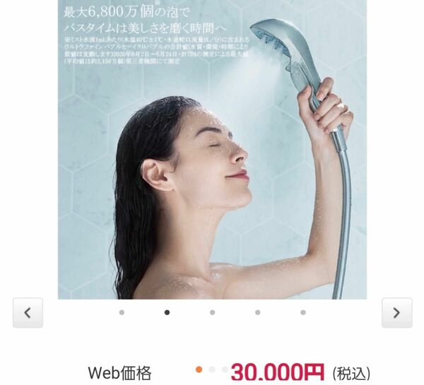 マイクロ・ナノバブル美容シャワー最大85%節水 8億6800万個 SHD10 【通常30000円、新品未使用】
