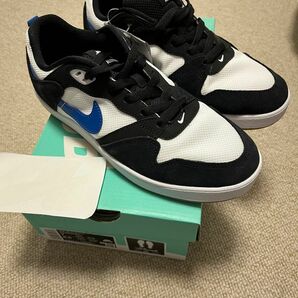 NIKE SB ALLEYOOP 25.0 新品未使用品