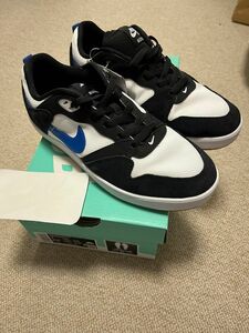 NIKE SB ALLEYOOP 25.0 新品未使用品