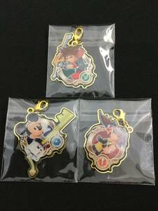 [KDH] Kingdom Hearts anti . India key metal charm collection 3 kind solalik king 