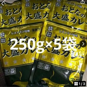 レトルトカレーおとなの大盛りカレー中辛250g5袋