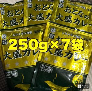 レトルトカレーおとなの大盛りカレー中辛250g7袋