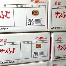 【Good】大玉厳選！青森産 JA津軽みらい CA貯蔵 光センサー『サンふじ』12～15玉 約5kg_画像4