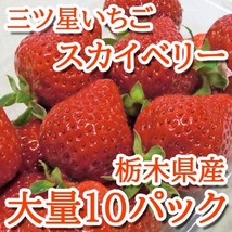 【Good】今季最終！たっぷり10パック入り！大量5箱セット！プレミアムいちご 栃木産『スカイベリー』_画像1