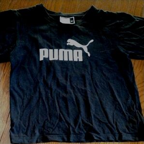 PUMA 半袖Tシャツ 黒 サイズ140