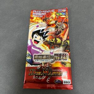 デュエルマスターズTCG DM-11エターナルアームズ聖拳編 拡張パック第2弾エターナル・ウェーブ無限軍団の飛翔