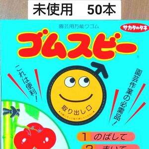 未使用□サカタのタネ ゴムスビー バラ50本