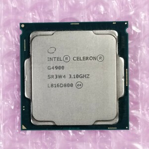 【動作確認済み】Celeron G4900 3.10GHz / 第8世代 Intel CPU / LGA1151 (在庫複数)