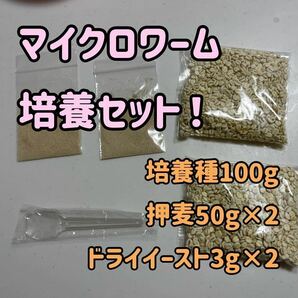 ●○送料無料！マイクロワーム種100gと押麦50gドライイースト3g2つずつ！手順書も付けます！○●の画像1