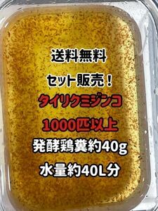 ★☆ネコポス送料無料！タイリクミジンコ1000匹以上と鶏糞約40g☆★