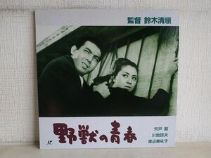 LD/ 野獣の青春 / 監督:鈴木清順 / 宍戸錠 / 川地民夫 / 渡辺美佐子 / にっかつ / NDS-2015 / 【M005】