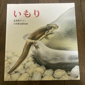 【絵本】いもり 金尾恵子・さく 川村智治郎・監修 福音館書店 【カバー欠品】【送料無料】