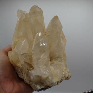 TC国産鉱物 宮崎県産 オシガハエ 巨大な水晶群晶標本 ２１９６ｇ！！の画像3