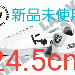 via SANGACIO （ヴィア・サンガチオ） 限定240足