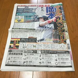 スポーツ報知 報知新聞 令和6年04月16日　巨人　ジャイアンツ 岡本和真　高橋藍　永瀬廉　橋幸夫　小金沢昇司　K 松井秀喜　山崎伊織