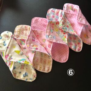 布ライナー　 ハンドメイド　⑥