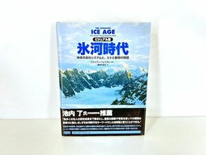 lep☆/ ICE AGE 氷河時代 ビジュアル版 地球冷却のシステムと、ヒトと動物の物語 ブライアン・Ｍ．フェイガン 帯付き　/DY-2652