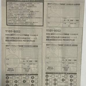 週刊ヤングジャンプ２０号  柏木由紀 QUOカード応募用紙 3枚セット ミニレター送料無料の画像1