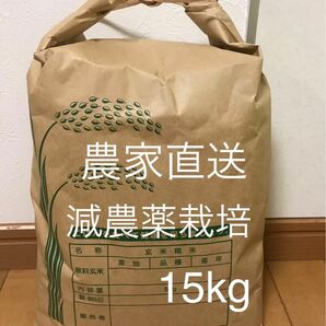 農家直送 おいしい お米 三重県産コシヒカリ 15kg 