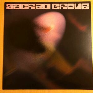 極美品 SACRED GROVE THROUGH THE MIRE 12INCH FYODOR THE DJ FRANCOIS K JOE CLAUSSELL RON TRENT LARRY HEARD CHAOS IN THE CBD