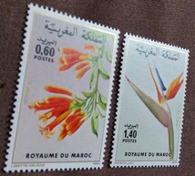 モロッコ　1983 花　2完 植物　自然　未使用糊あり_画像5