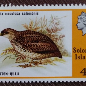 ソロモン諸島 1976.3.8 鳥 貝 自然 6種 キバラモズヒタキ カワセミ ノドアカヒメバト ボタンウズラ オウギヒタキ 未使用糊ありの画像6