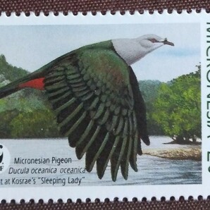 ミクロネシア 1990 鳥 WWF （世界自然保護基金） カワセミ ハト トリ 自然 鳥類 未使用糊ありの画像5