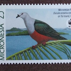 ミクロネシア 1990 鳥 WWF （世界自然保護基金） カワセミ ハト トリ 自然 鳥類 未使用糊ありの画像6