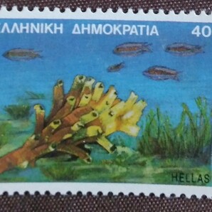 ギリシャ 1988 海洋生物 5完 魚 魚類 海 未使用糊ありの画像4