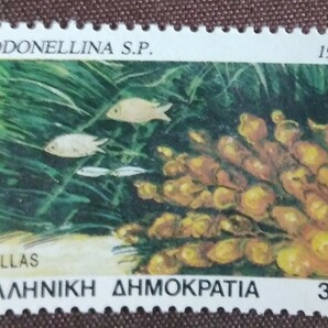 ギリシャ 1988 海洋生物 5完 魚 魚類 海 未使用糊ありの画像3