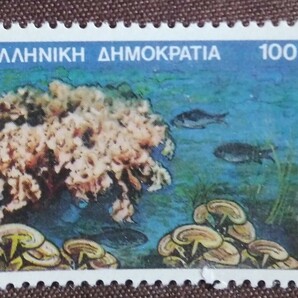 ギリシャ 1988 海洋生物 5完 魚 魚類 海 未使用糊ありの画像7