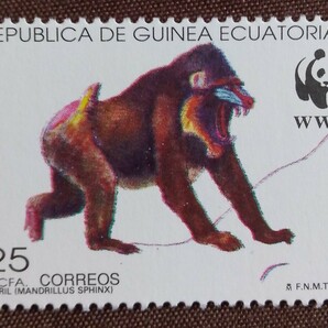 赤道ギニア 1991 マンドリル 3完 WWF （世界自然保護基金） サル 猿 哺乳類 絶滅危惧種 未使用糊ありの画像6