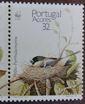 アゾレス諸島　1991 鳥　WWF （世界自然保護基金）　4完連刷 絶滅危惧種　スズメ目　未使用糊あり_画像6
