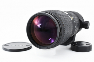 Sigma EX 100-300mm F4 D APO HSM IF AF ZOOM Lens For Nikon /前後キャップ付き [美品] #2105903
