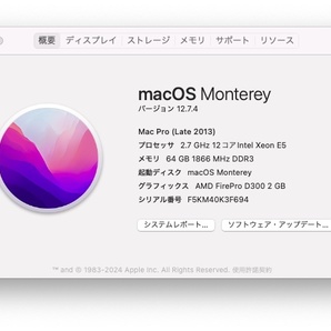 Apple Mac Pro (Late 2013) 2.7GHz 12コア/24スレッド メモリ：64GB搭載 SSD：1TB（960GB）の画像6