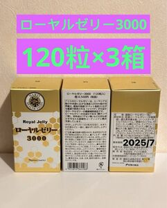 新入荷 ナリス化粧品ナリス　調製ローヤルゼリー3000 120粒×3箱