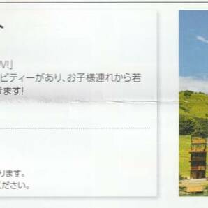 複数可 / 送料63円〜☆ 1枚で5名迄割引「 日本スキー場開発株主優待券 【 株主優待特別割引券 】」/ 白馬岩岳MTB PARK 白馬つがいけ WOW!の画像4