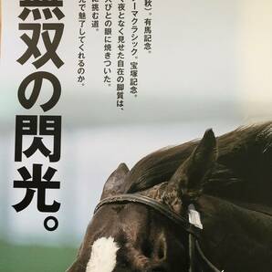 レア 最新作 貴重 非売品 未使用 JRA ヒーロー列伝 #94 イクイノックス B1ポスター 2023年 Cルメール 無双の閃光 キタサンブラックの画像5