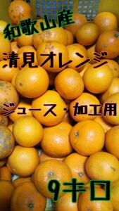 ■和歌山産 加工用 清見オレンジ 箱込み9キロ■