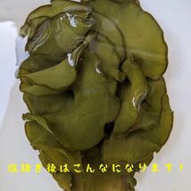 塩蔵メカブです！海の恵みをお届け！500g袋！フコイダン、ミネラル、食物繊維が豊富！健康維持に最適です。漁師直送、送料無料！ _画像3