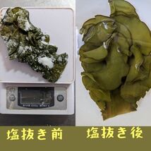 塩蔵メカブです！海の恵みをお届け！500g袋！フコイダン、ミネラル、食物繊維が豊富！健康維持に最適です。漁師直送、送料無料！ _画像6