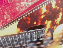  石川捷二郎　マンドリン ギター　手工品　ishikawa　1979　vintage　JAPAN　mandolin　mandoline　mandolino 1290_画像7