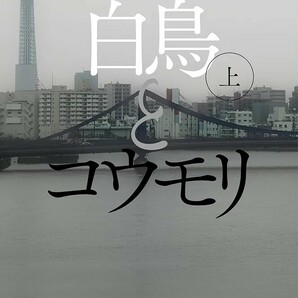 【新品 未使用】白鳥とコウモリ（上） 東野圭吾 送料無料