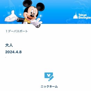 4月8日　ディズニーランドグッズ購入用チケット