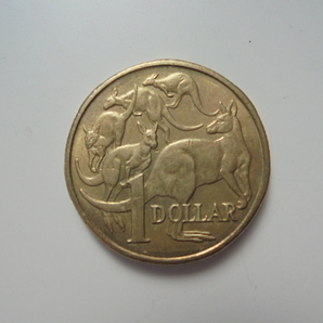 【外国銭】オーストラリア 1ドル 1984年 カンガルー 古銭 硬貨 コイン ①の画像1