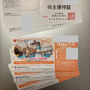 東京都競馬 サマーランド 1dayパス ご招待券12枚 春秋限定12枚 合計24枚 送料無料の画像1