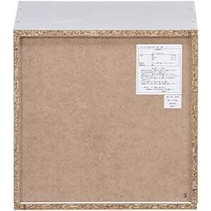 不二貿易(Fujiboeki) キューブボックス 2段 幅34.5×奥行29.5×高さ34.5cm ホワイト 収納 カラーボックスの画像5