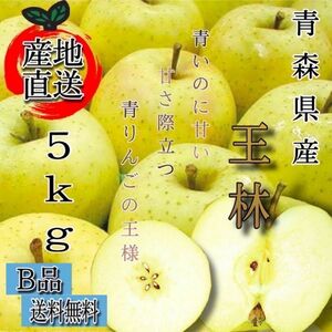 ＂ 王林 ＂【青森県産りんご5kg】【産地直送】【即購入OK】【送料無料】家庭用 りんご リンゴ 林檎